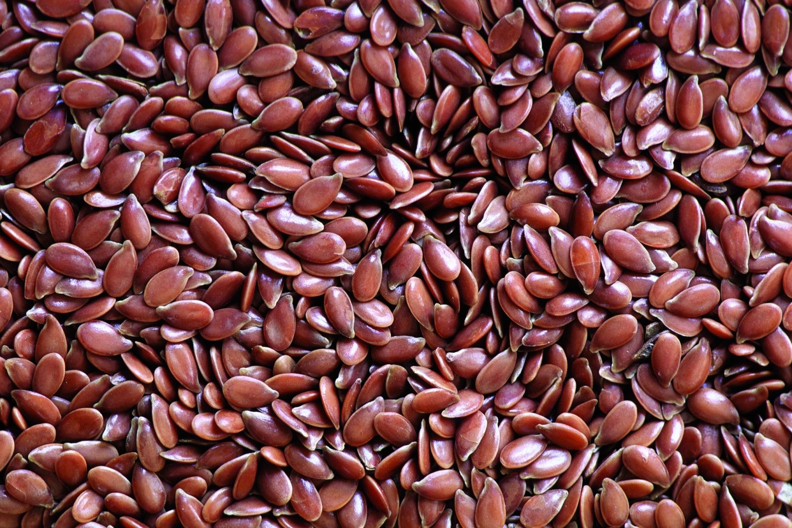 Supreme Flax Seeds/Alsee Seeds 14 Oz. (400g) - Whole Spices & Herbs -  Masalas, Spices & Herbs - Grocery